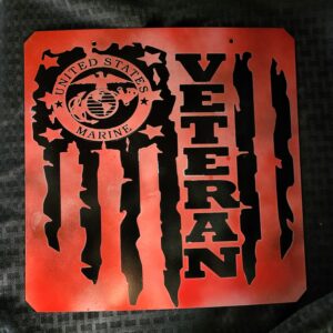 marine-veteran