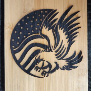 eagle-with-flag