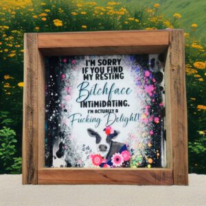 wood-framed-sign-resting-bitchface