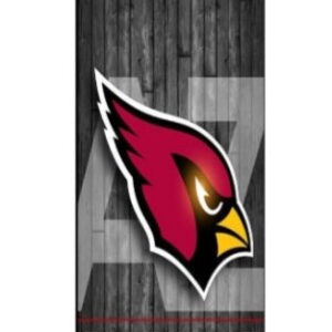tumbler-20-oz-az-cardinals
